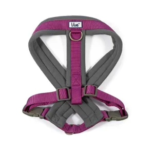 Ancol Viva Purple Padded Dog Harness